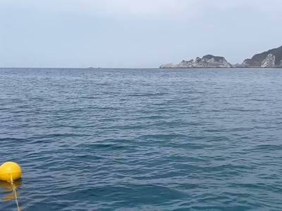 Screenshot_20240420-173358_Gallery