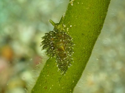 line_oa_chat_240414_143243