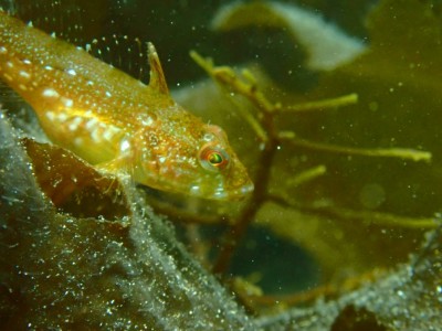 line_oa_chat_240414_163952