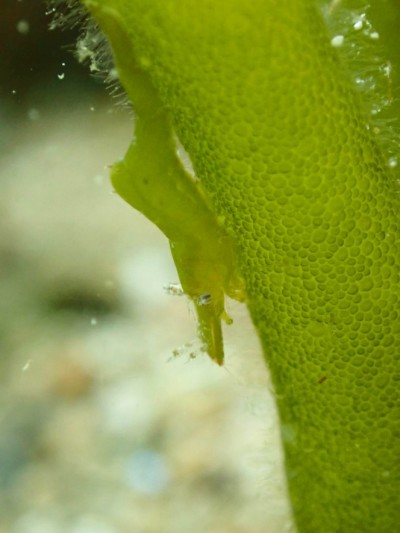 line_oa_chat_240414_164004