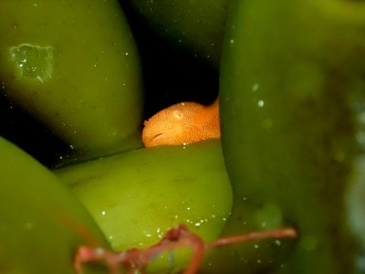 line_oa_chat_240414_164044