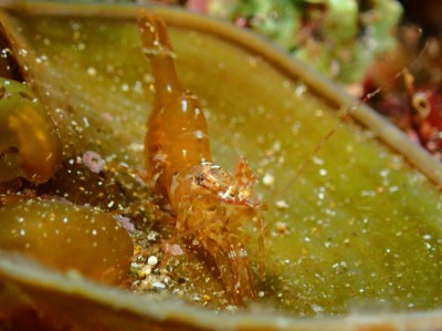 line_oa_chat_240415_111059