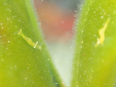 line_oa_chat_240421_172958