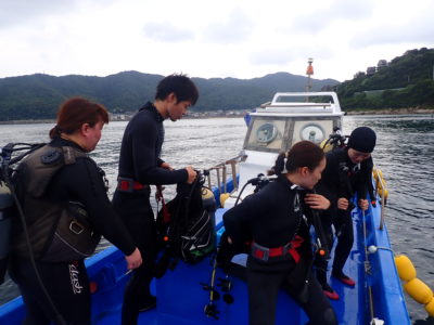 リフレッシュダイブ