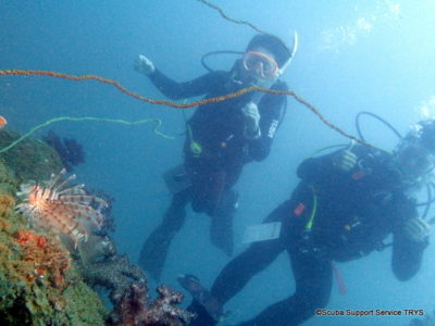 ハナミノカサゴ