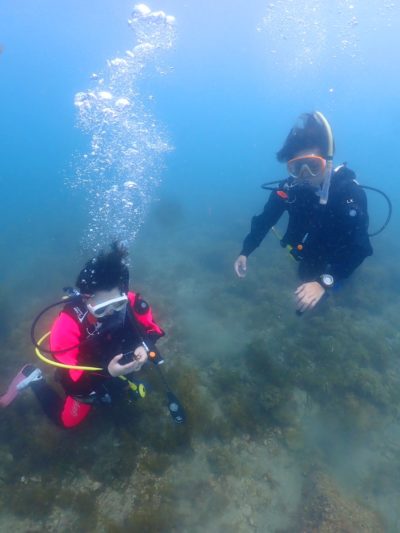 和歌山でcカード取得コース