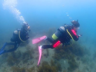 和歌山の海でダイビングライセンス取得コース