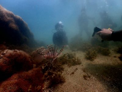 体験ダイビング