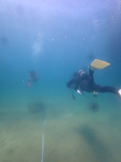 アドバンスコースナビゲーション