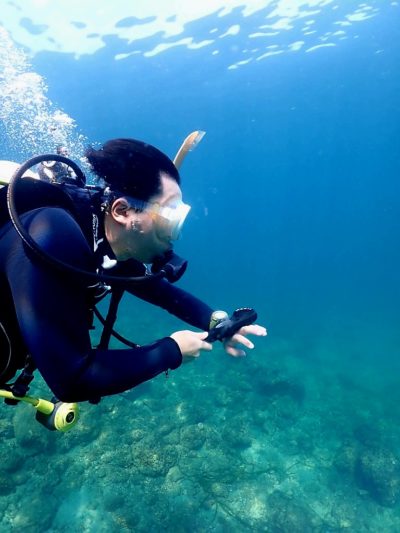 ダイビングライセンス取得