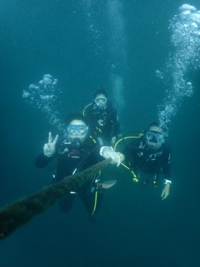 和歌山ダイビング