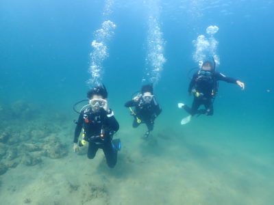 和歌山でダイビング