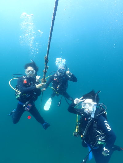 和歌山の海でダイビング