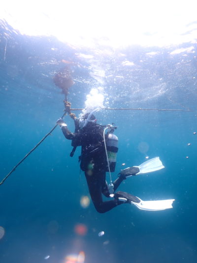 エンリッチドエアだいびんぐ