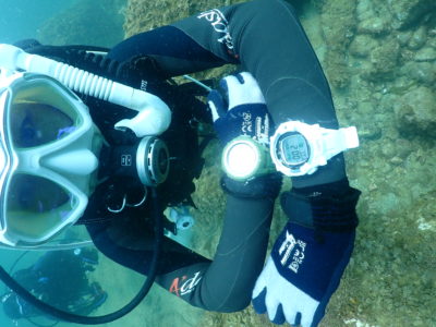 エンリッチダイブ