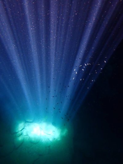 和歌山の白崎洞窟ポイントでダイビング