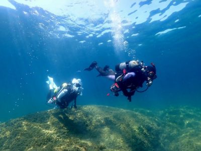 和歌山ダイビング
