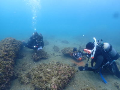 和歌山でフォトダイビング