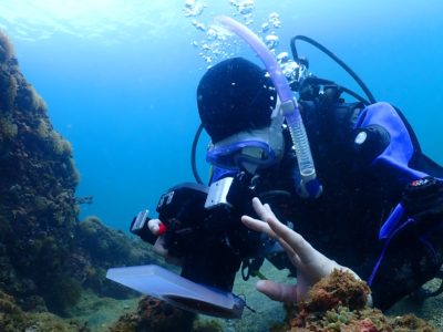 和歌山でフォトダイビング