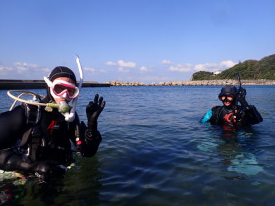 和歌山の海で夫婦で楽しむダイビング