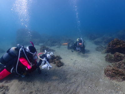 和歌山の海でフォトダイビング