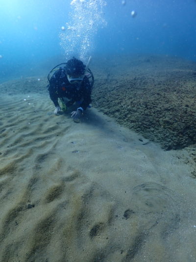 和歌山白崎の海でボートダイビング