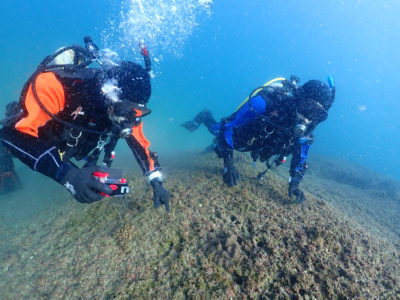 和歌山の海でフォトダイビング