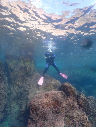 和歌山白崎の海でダイビング