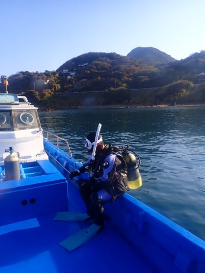 和歌山白崎の海でえボートダイビング