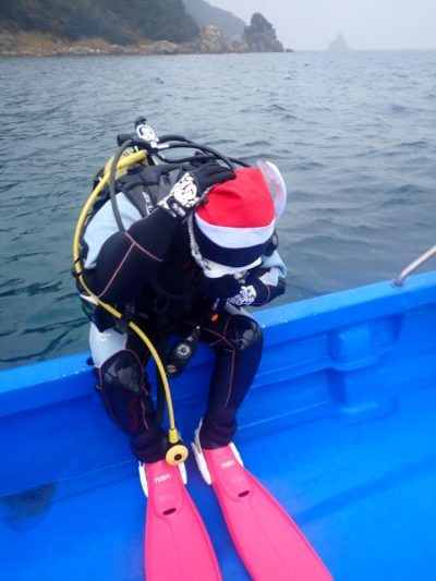 クリスマスダイビング