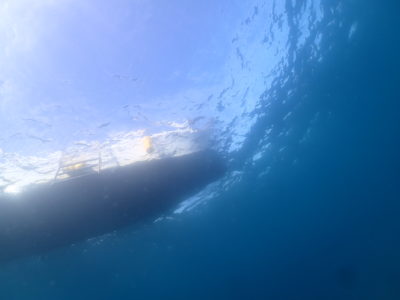 白崎ボートダイビング