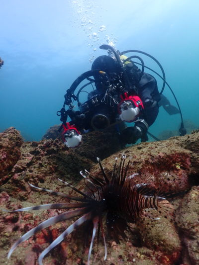 白崎の海でフォトダイビング