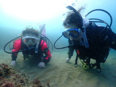 和歌山の海でボートダイビング