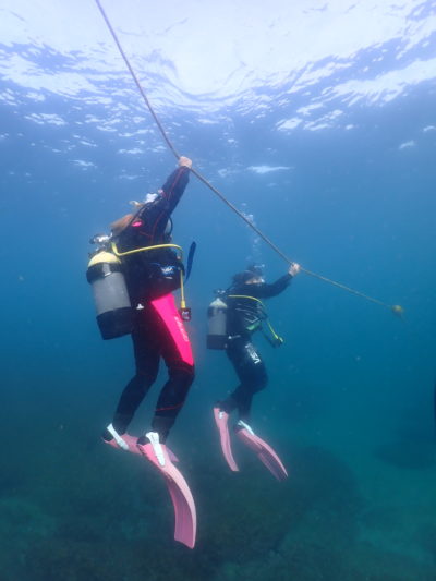 和歌山の海でボートダイビング