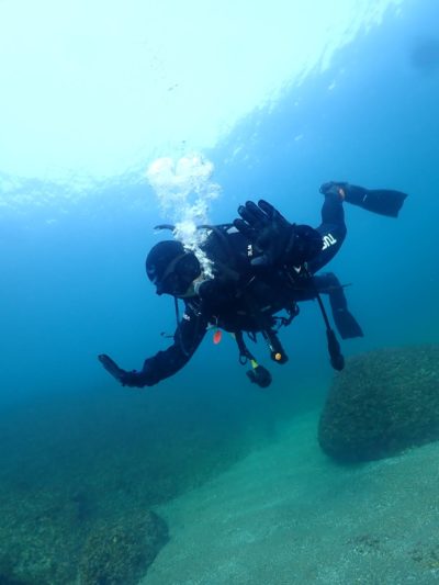 和歌山でダイビング