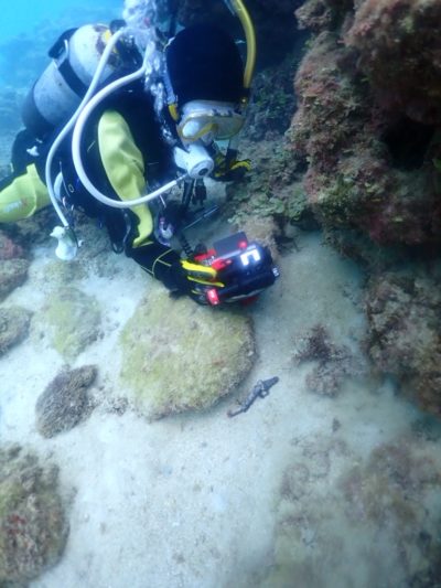 沖縄ダイビング