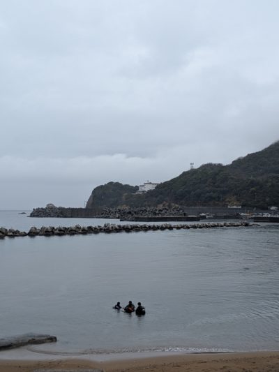 リフレッシュダイブ