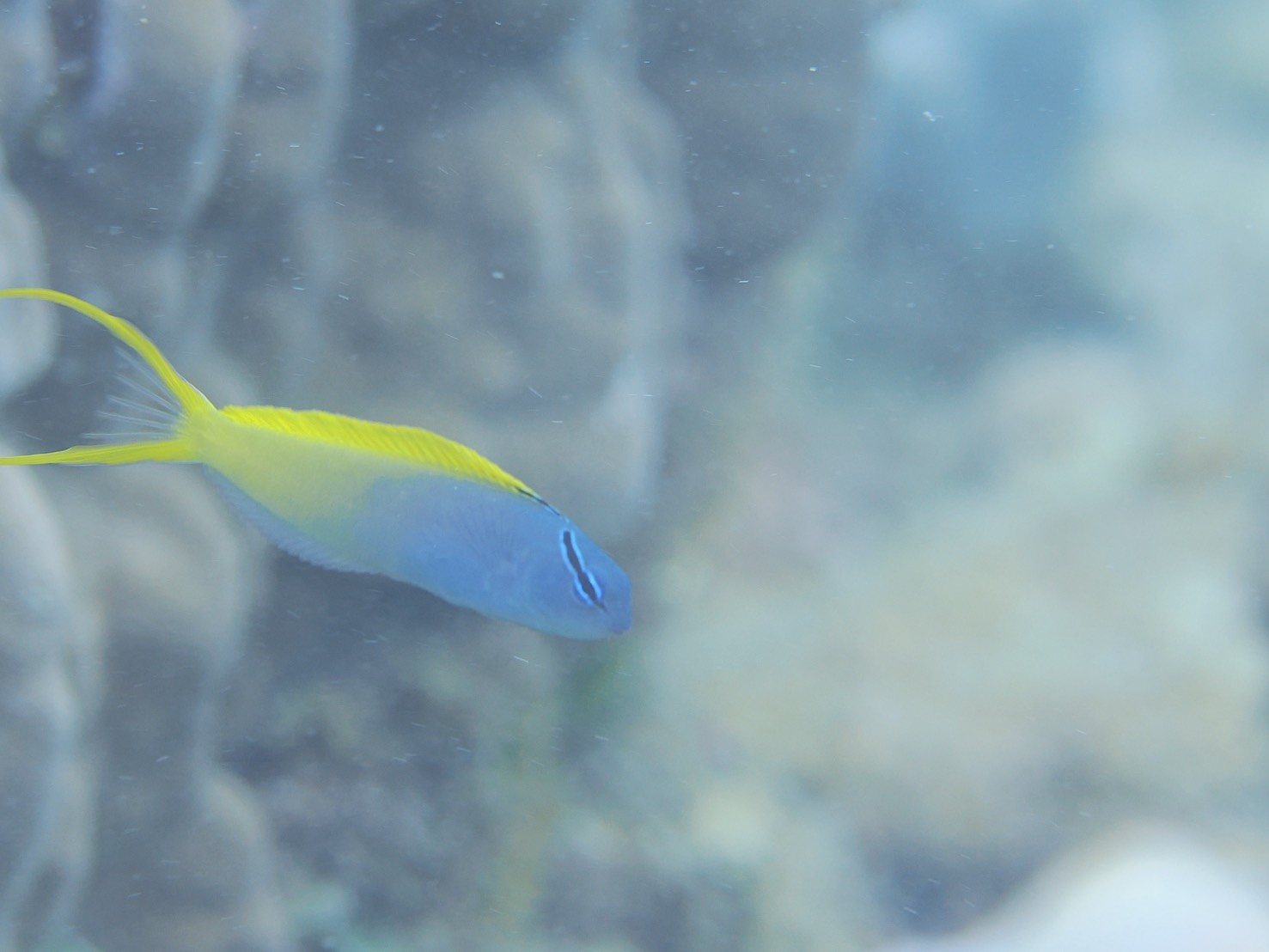 沖縄で撮影されたゲスト様作品ご紹介