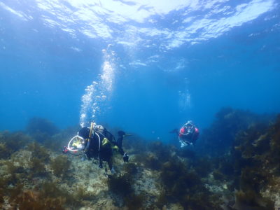 親子ダイバーフォト