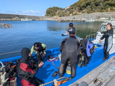 白崎の海ハブガタダイビング