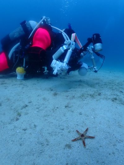 お客様の声「はまっているもの」フォトダイビング