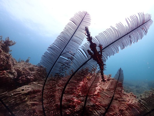 514385D9-ACAE-42A0-9118-A3CC9E5072BF