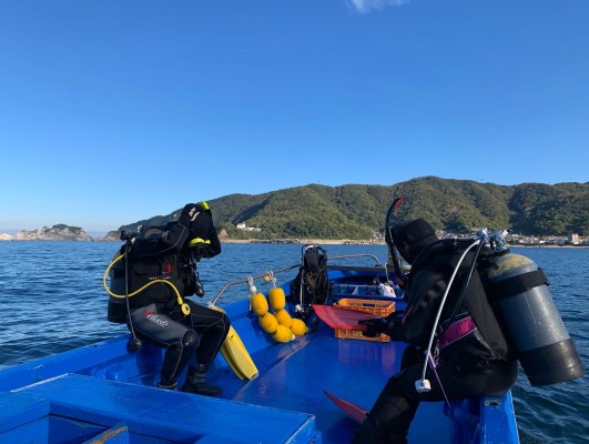 514C1C80-4F82-4EB2-9317-943CD167D541