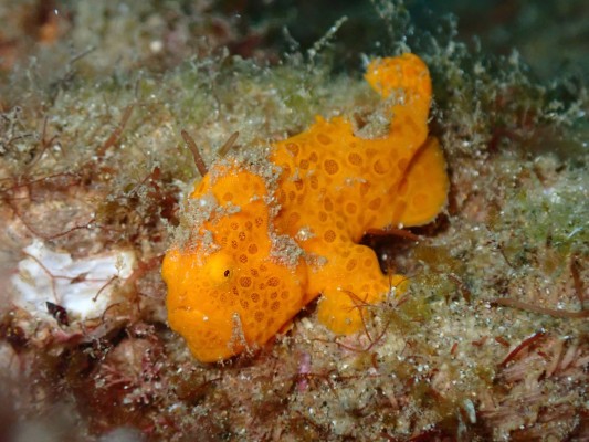 8EC94144-8FA2-4971-A32C-8BB000CA59E4