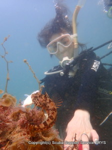 OLYMPUS DIGITAL CAMERA